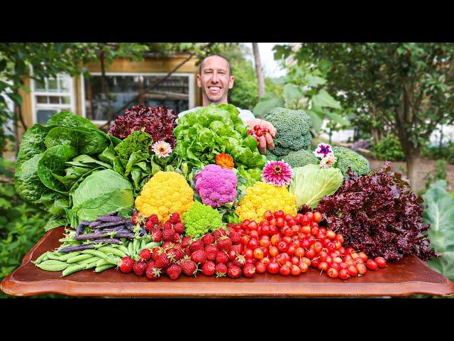 Organic Garden Harvest, Here is What I Harvested Today...