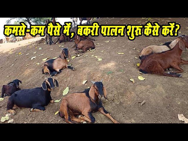 #shortsvideo  कमसे कम पैसे में  बकरी पालन कैसे शुरु करें।। Low cost me Goat Farm start