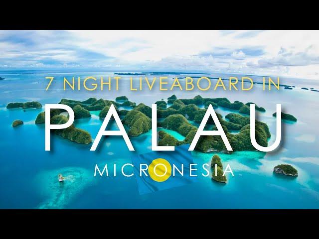 Palau, Micronesia  - 7-Night Scuba Diving Liveaboard | Is it WORTH IT? What to Expect