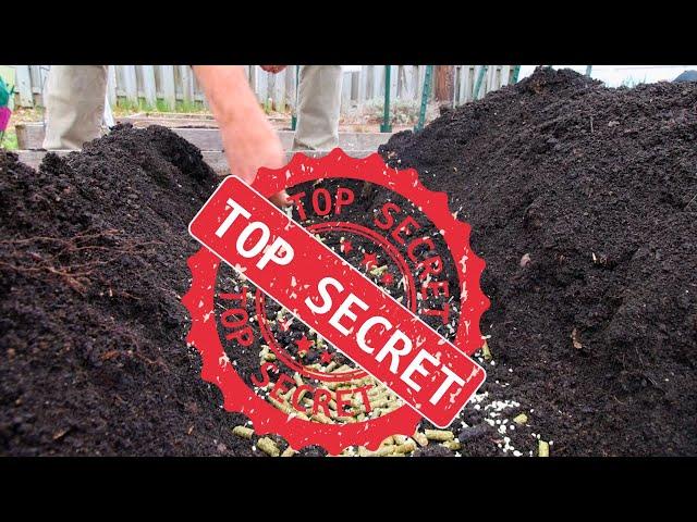 TWO Secret Ingredients For HUGE Potato Yields