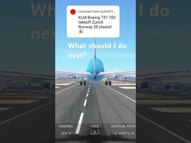What should I do next? #infiniteflight #takeoffandlanding