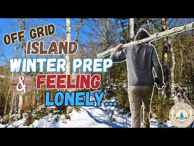 Off Grid Island Homesteading: Winter Prep and Feeling Lonely | S2 Ep48