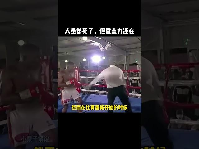 即便死亡，也没能阻止他挥下人生中的最后一拳#拳击 #感人 #格斗 #boxing #moving #精彩片段