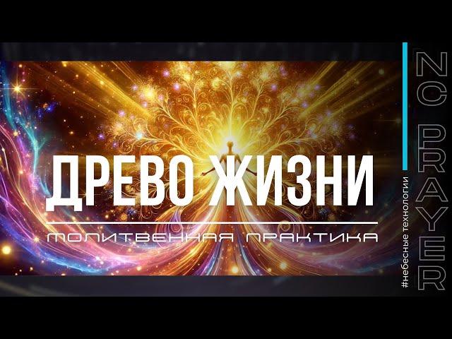 Молитва "Древо Жизни". Полное исцеление в молитве! Пастор Андрей Яковишин ​⁠ @Nebesnaya_civilizacia