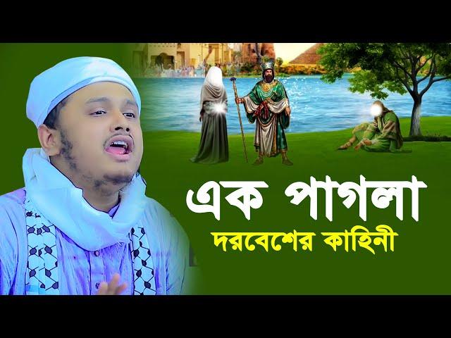 এক পাগলা দরবেশের কাহিনী । qari shamim reza waz 2024