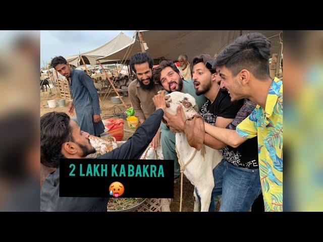 Ye bakra itna mehnga  - bakra mandi vlog - eid ul adha 2022