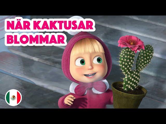 Masha's Sånger  Nytt Avsnitt 2024   När kaktusar blommar 🪇 (Avsnitt 8)