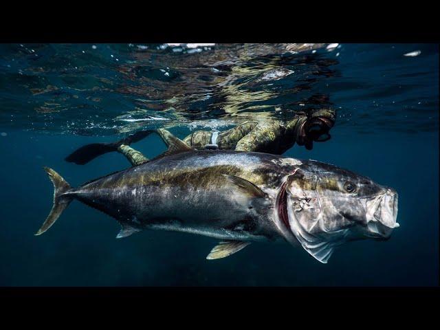 Spearfishing in New Zealand - Exploring North Island