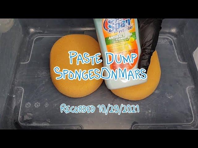Sponge ASMR: Creamy ️ Paste Dump.