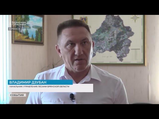 Топ 10 в рейтинге эффективности исполнения переданных полномочий в области лесных отношений.