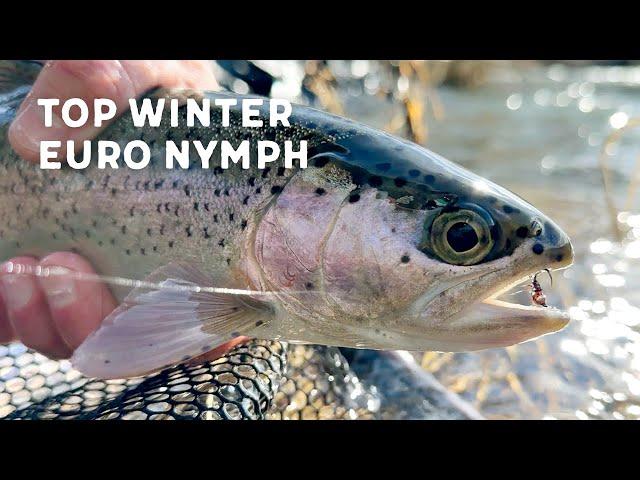 Catch More Winter Fish // Euro Nymphing & Tying The Phantom Nymph Fly Pattern