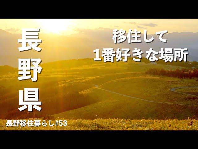 【長野移住】冬の練習を兼ねて移住して1番好きな場所に行ってみた｜ビーナスライン｜諏訪湖｜太養パン店｜ドライブ｜田舎暮らし｜長野県｜4K