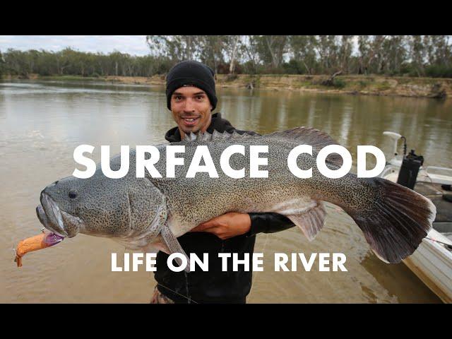 Epic LONG Range Fishing Camping Trip HUGE Topwater Murray Cod