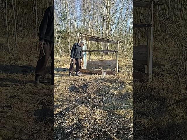Дача. Стройка сарая движется.
