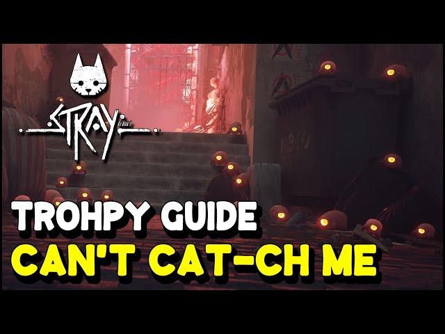 Stray CAN'T CAT-CH ME Trophy / Achievement Guide (Don't get caught by the Zurks in Chapter 2)