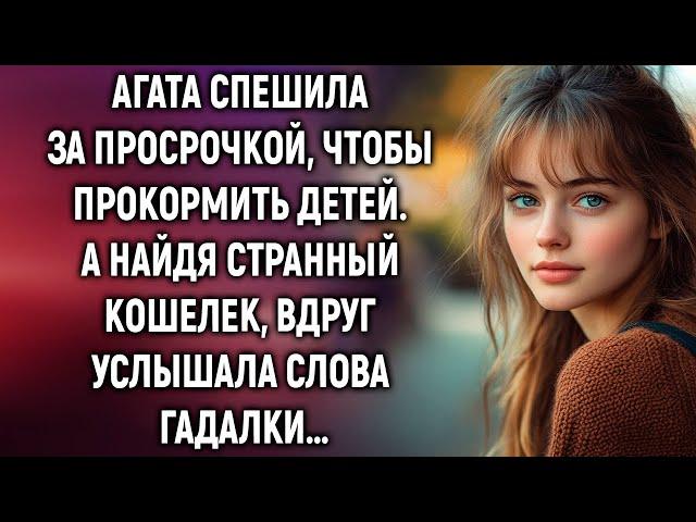 Агата спешила за просрочкой, а найдя странный кошелек, вдруг услышала слова гадалки…