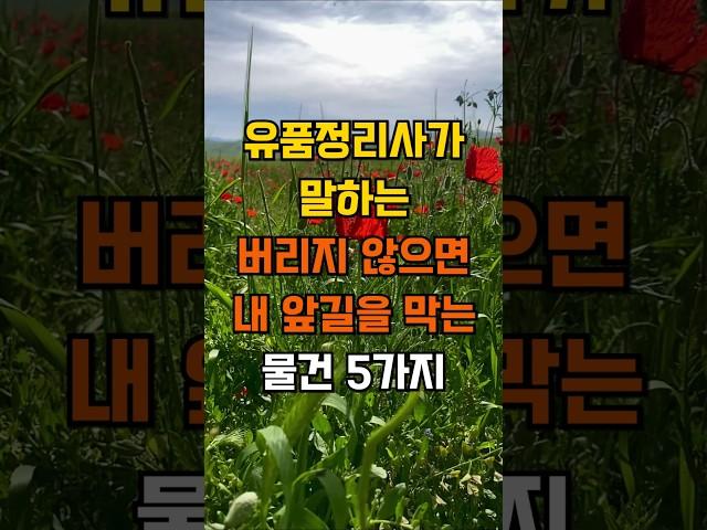 유품정리사가 말하는 당장 버리지 않으면 내 앞길을 막는 물건 5가지 #노후 #죽음 #인생조언 #지혜