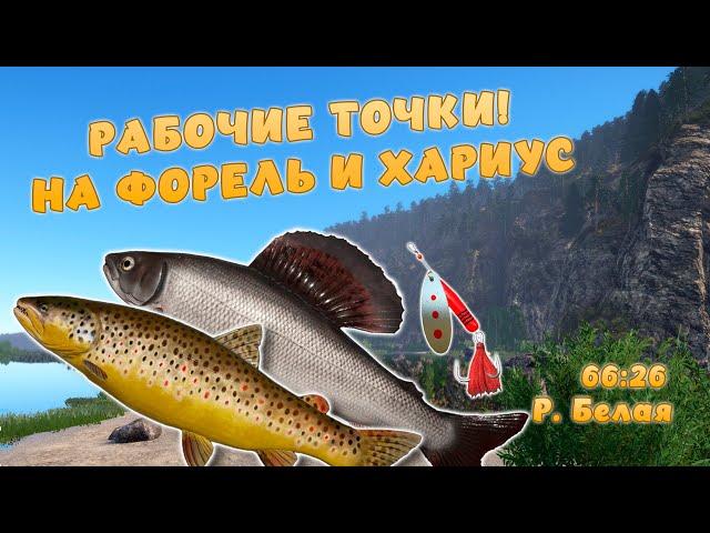 Русская рыбалка 4 - РАБОЧИЕ ТОЧКИ ФОРЕЛЬ И ХАРИУС! НА ТОП ПРИМАНКУ! Р. Белая!