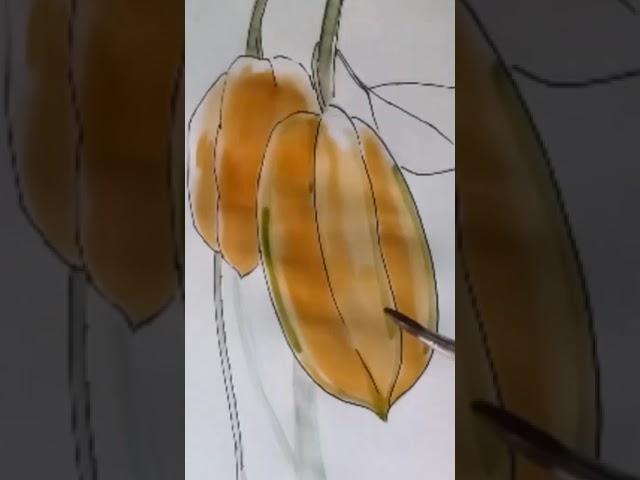 how to draw & color carambola