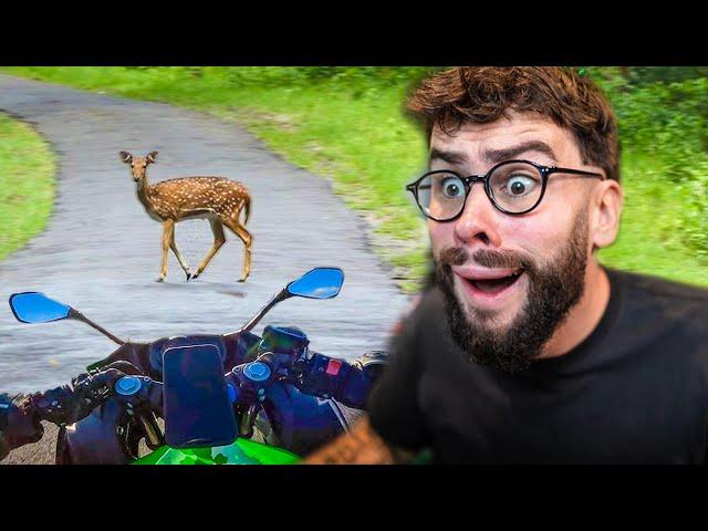 IL SE PRENDS UNE BICHE EN MOTO ! (React Motos)