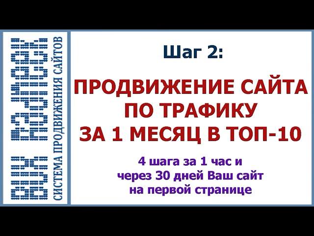 Шаг 2: Трафик на сайт. Продвижение сайта по трафику пошаговая инструкция Radneek