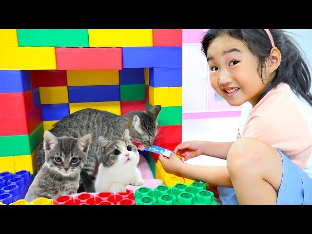 Boram and her kittens - how to take care about your pet