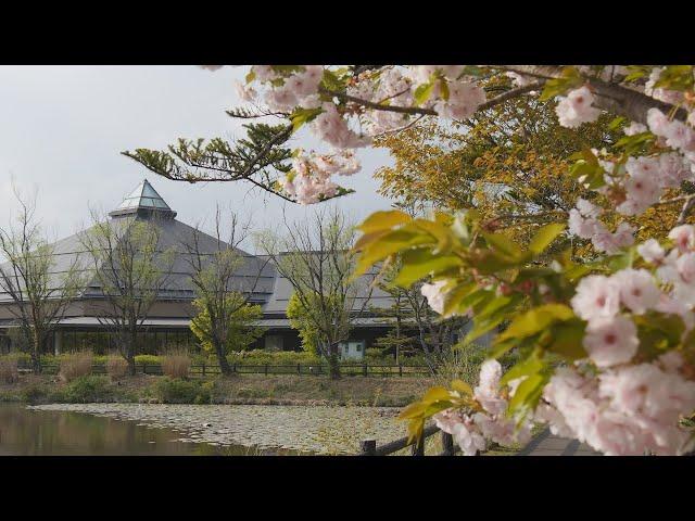 Dvořák & Tchaikovsky: Serenades (Album Trailer) | Toshio Yanagisawa & Balkan Chamber Orchestra