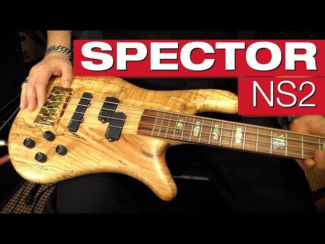 Spector NS2 Spalted Maple