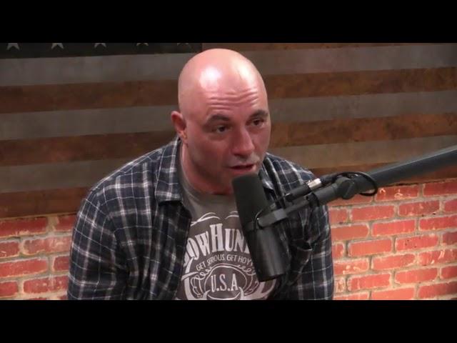 Joe Rogan on Ego Death