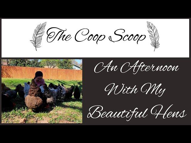 Spend a Little Time With Me and My Flock