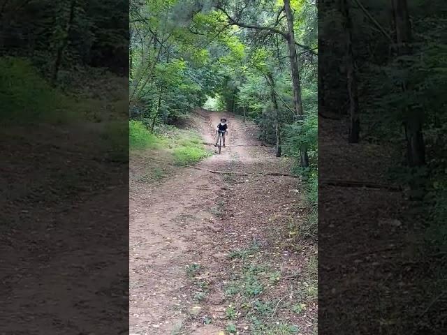 유사 로드로 산타는 잼민's 결국.....