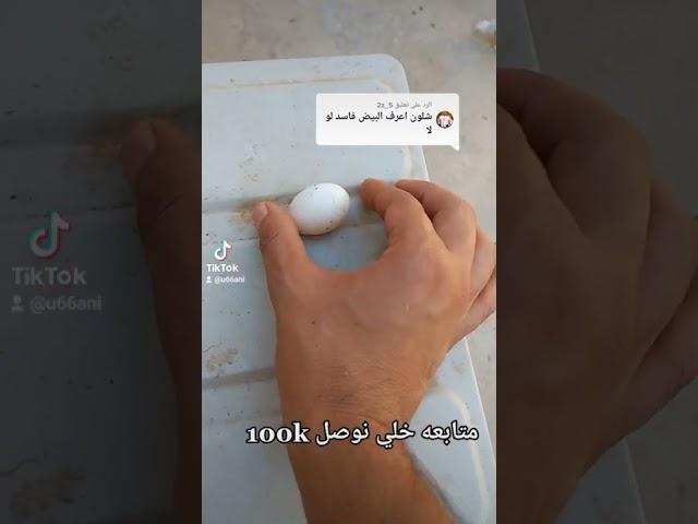 ١٧ أيلول ٢٠٢٢