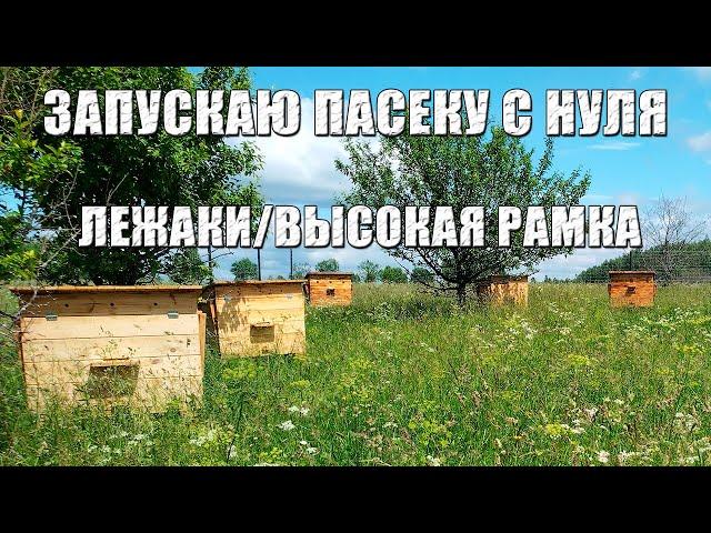 Как я строил свою пасеку в чистом поле. Установка забора, завоз ульев и заселение пчелосемей.