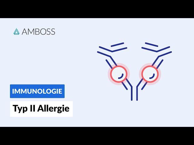 Antikörpervermittelte, zytotoxische Reaktion - Typ II Allergie - Biochemie - AMBOSS Video