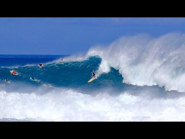 Waimea Hawaii Big Wave Day | Eddie Aikau Champion Luke Shepardson | 2/28/2025 Surfing North Shore