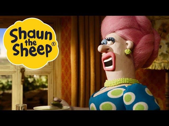 Frantic Romantic | Shaun the Sheep | S2 Full Episodes