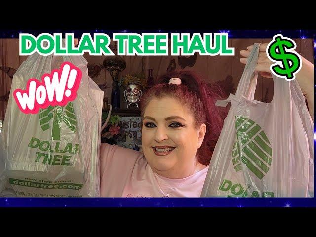 DOLLAR TREE HAUL | AMAZING NEW FINDS | March 11, 2025