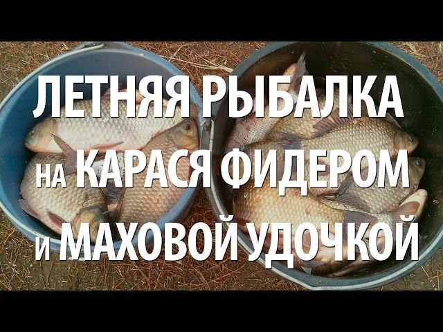 ЛЕТНЯЯ РЫБАЛКА на КАРАСЯ. РЫБА КАРАСЬ на ПОПЛАВОЧНУЮ УДОЧКУ и ФИДЕР в ИЮЛЕ