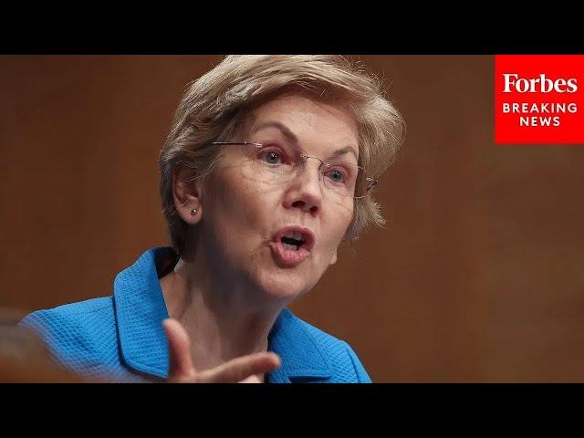 Elizabeth Warren Leads Senate Banking Committee Hearing On Proposed Reforms For Federal Reserve