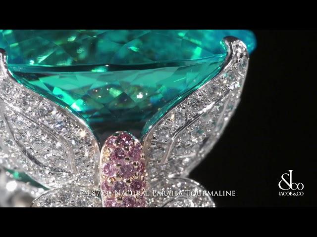 JACOB & CO Tourmaline