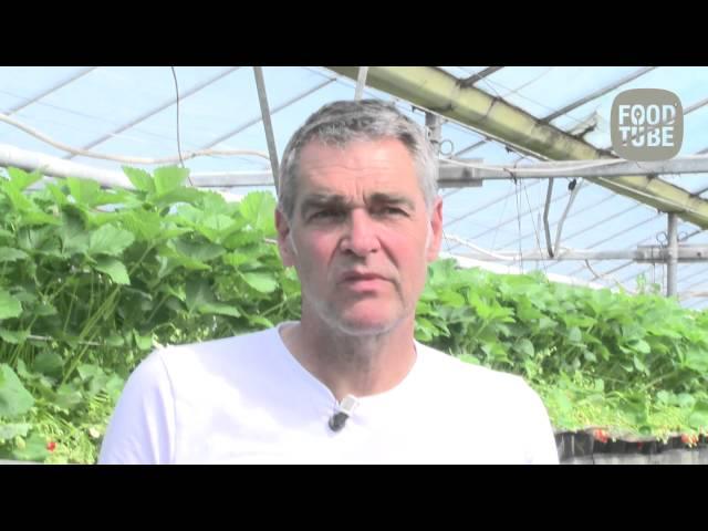 Gert Jan Hageman: Aardbeien in de keuken