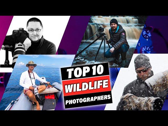 Top 10 Wildlife Photographers In The World!