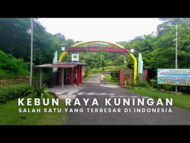 Kebun Raya Kuningan Jawa Barat, Salah Satu Kebun Raya Terbesar di Indonesia