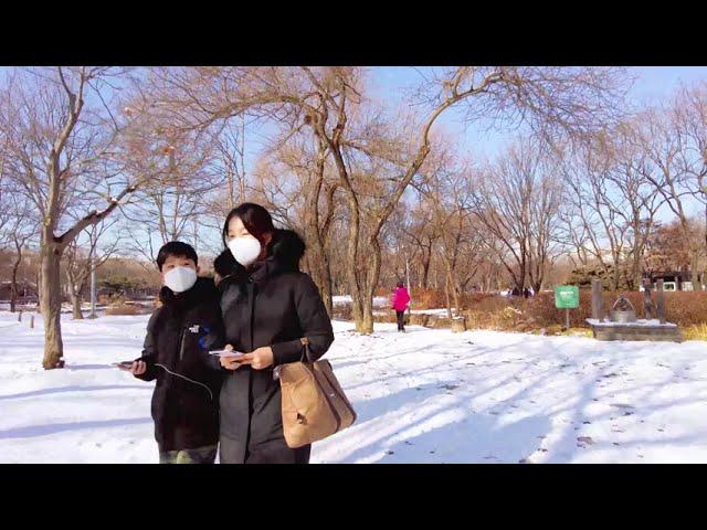 [4K] Walking Korea Seoul forest Park I winter I stroll 서울숲 산책 도보투어binaural city sound ASMR