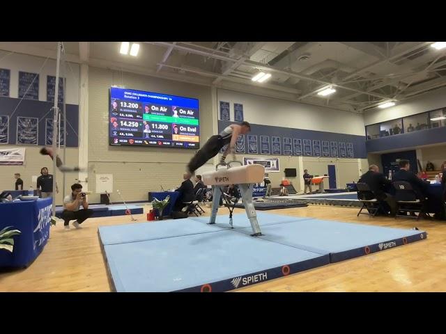 AFA @ USAGs- Pommel