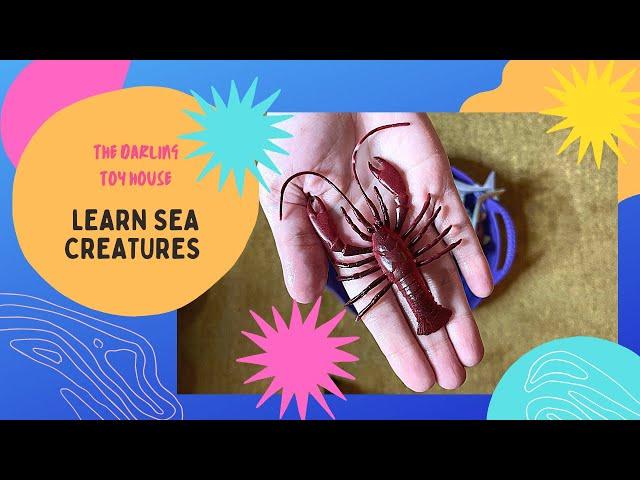Learn Sea creatures names for toddlers in English with The Darling Toy House