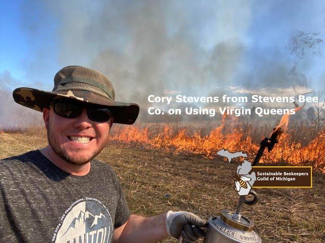 Cory Stevens On Using VSH Virgin Queens