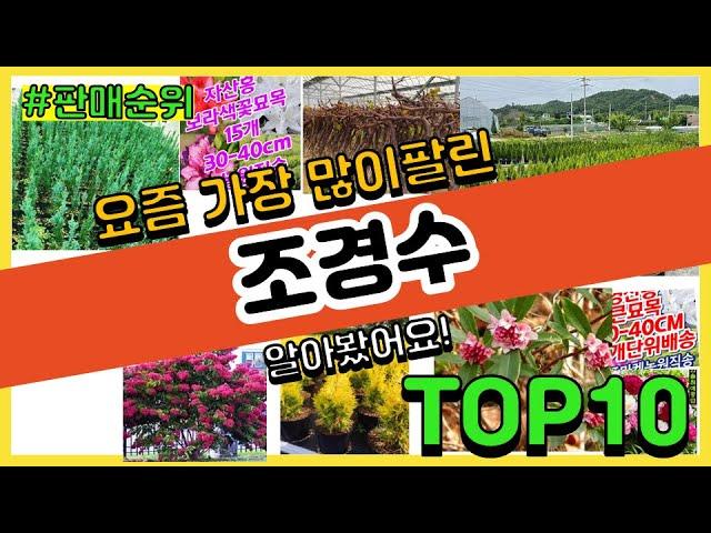 조경수 추천 판매순위 Top10 || 가격 평점 후기 비교0 조경수 동영상