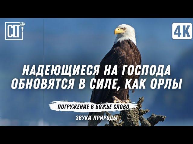 5 ЧАСОВ ИСЦЕЛЯЮЩЕГО СЛОВА | Включайте на весь экран и наполните свой дом красотой природы и Словом