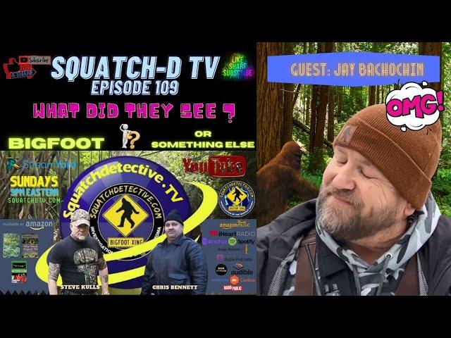 Bigfoot? What Did They See? [Squatch-D TV Ep. 109]